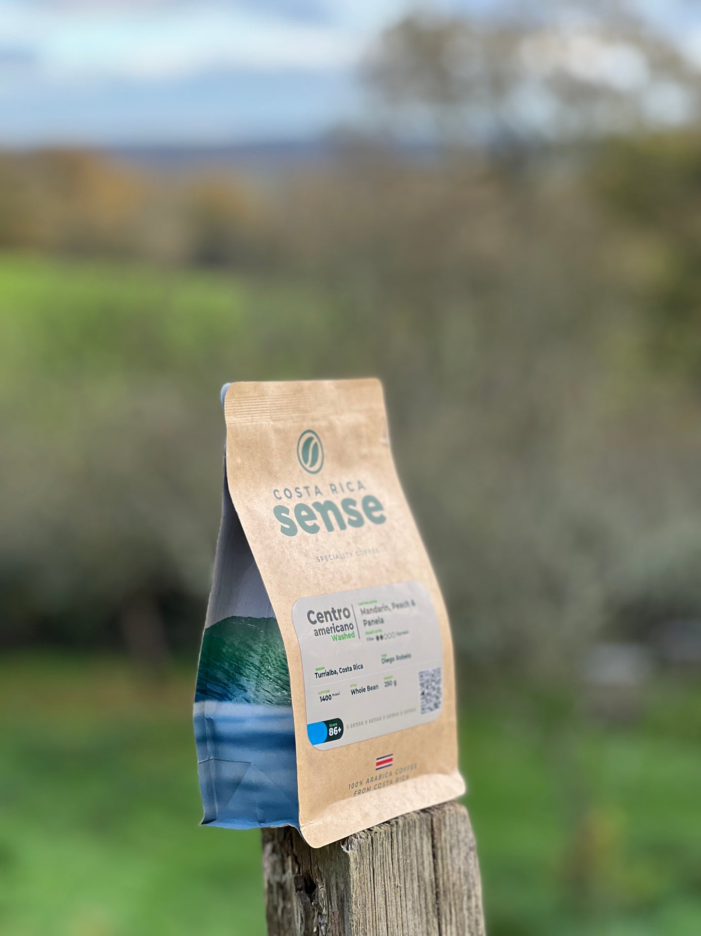 Centroamericano - Washed