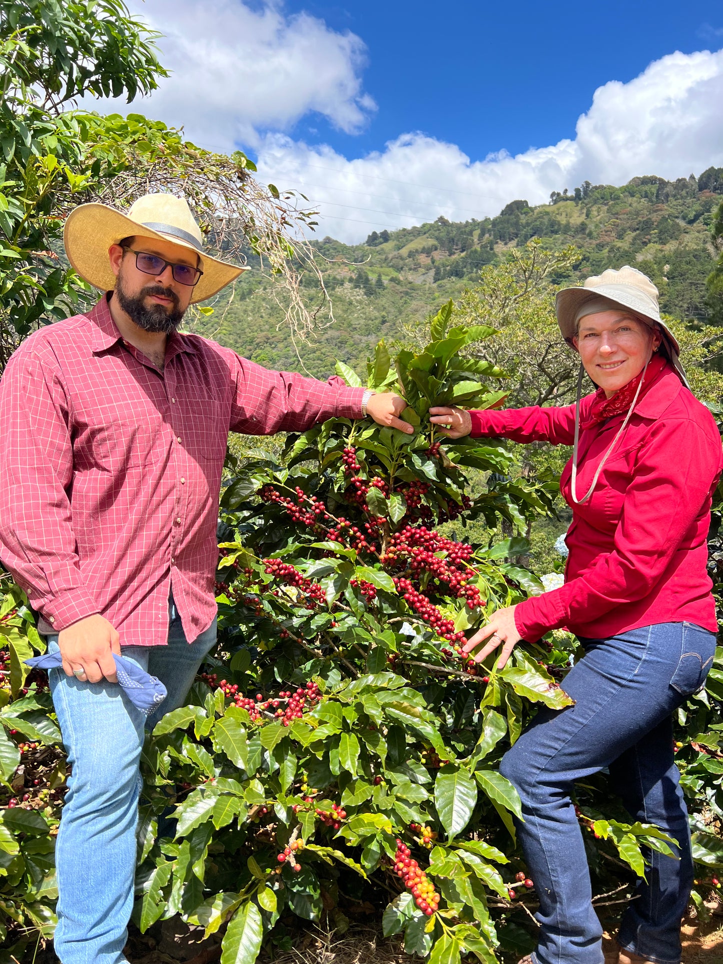Caturra/Catuai - Honey. Luis F. Monge